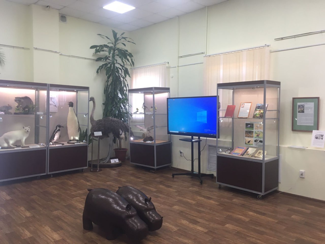 Интерактивная панель "БС СМАРТ"