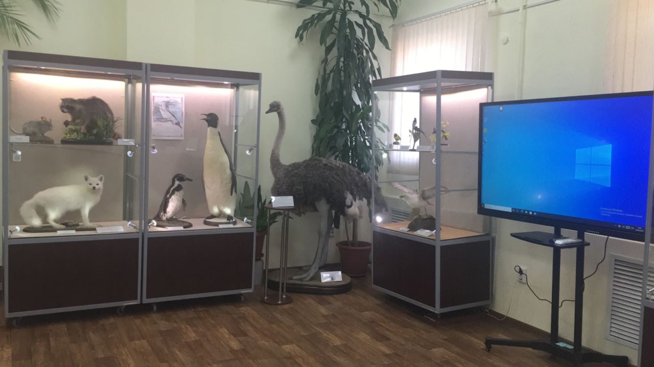 Интерактивная панель "БС"